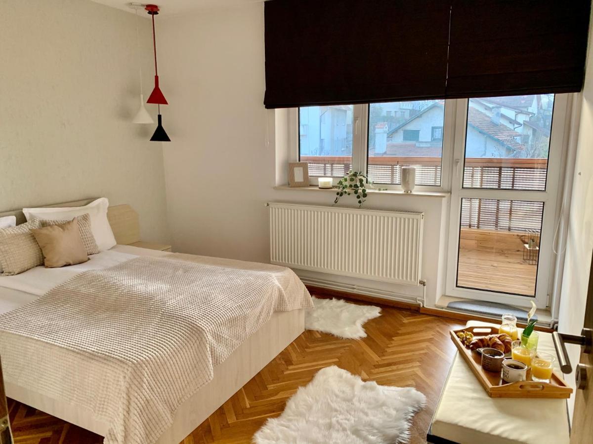 Viktory Apartman Brassó Kültér fotó