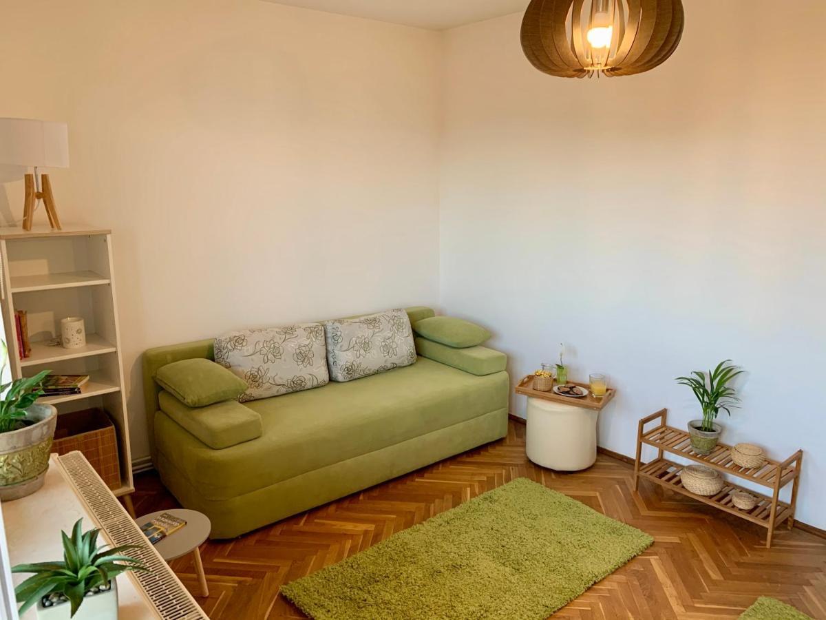 Viktory Apartman Brassó Kültér fotó