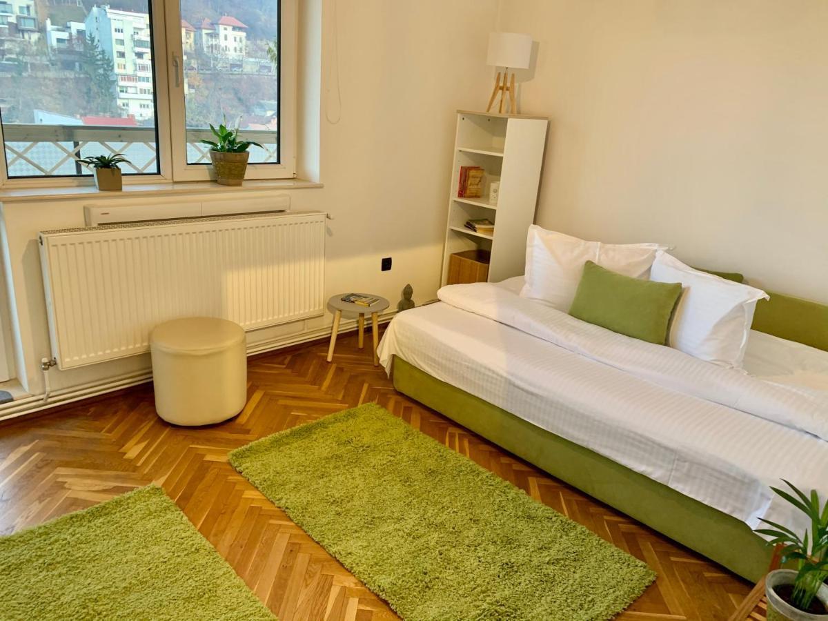 Viktory Apartman Brassó Kültér fotó