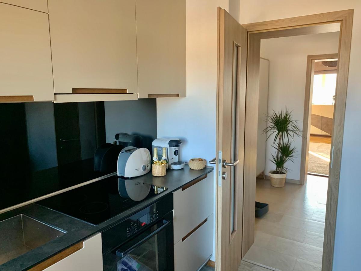 Viktory Apartman Brassó Kültér fotó
